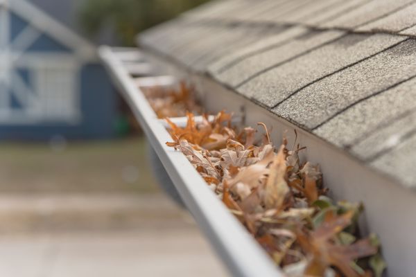 Leaf Barrier Installation in Sevierville