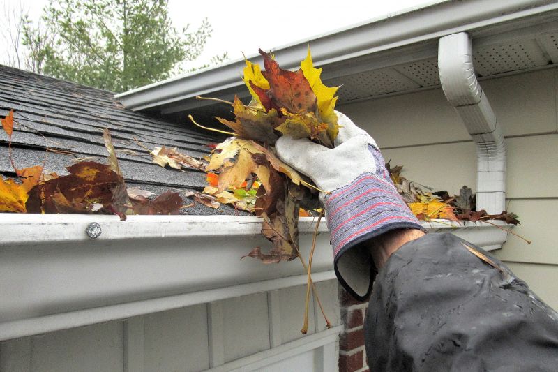 Seasonal Gutter Protection