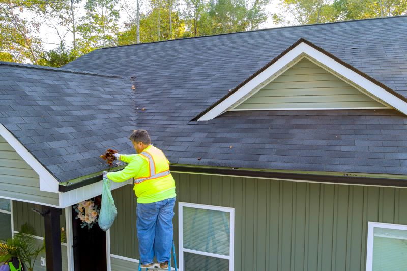 Specialty Gutter Service Providers